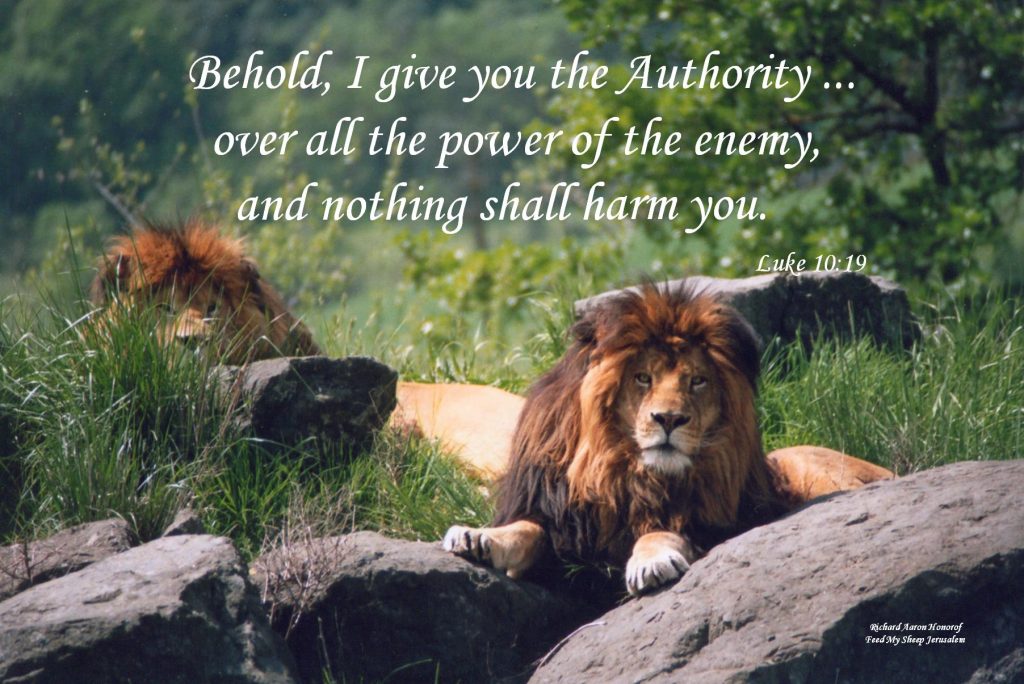 Lions